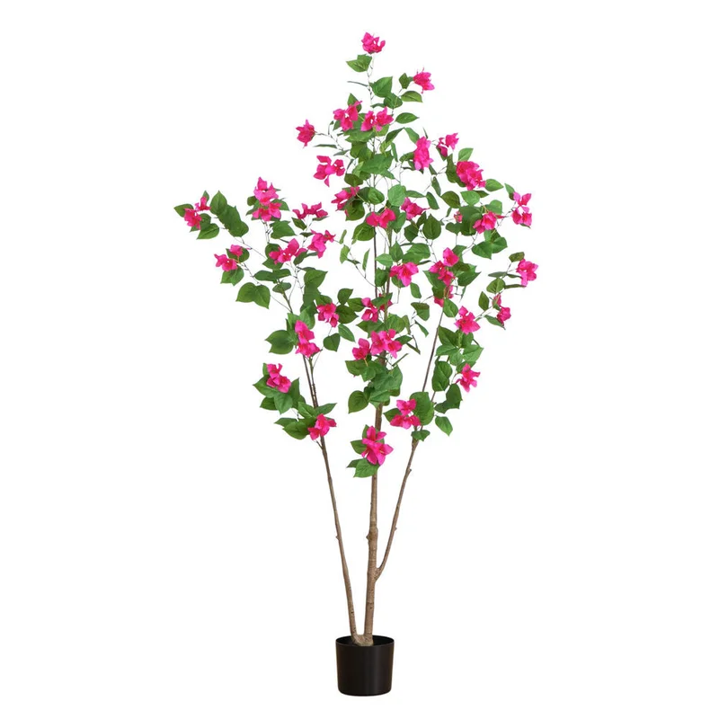 hubert3561755