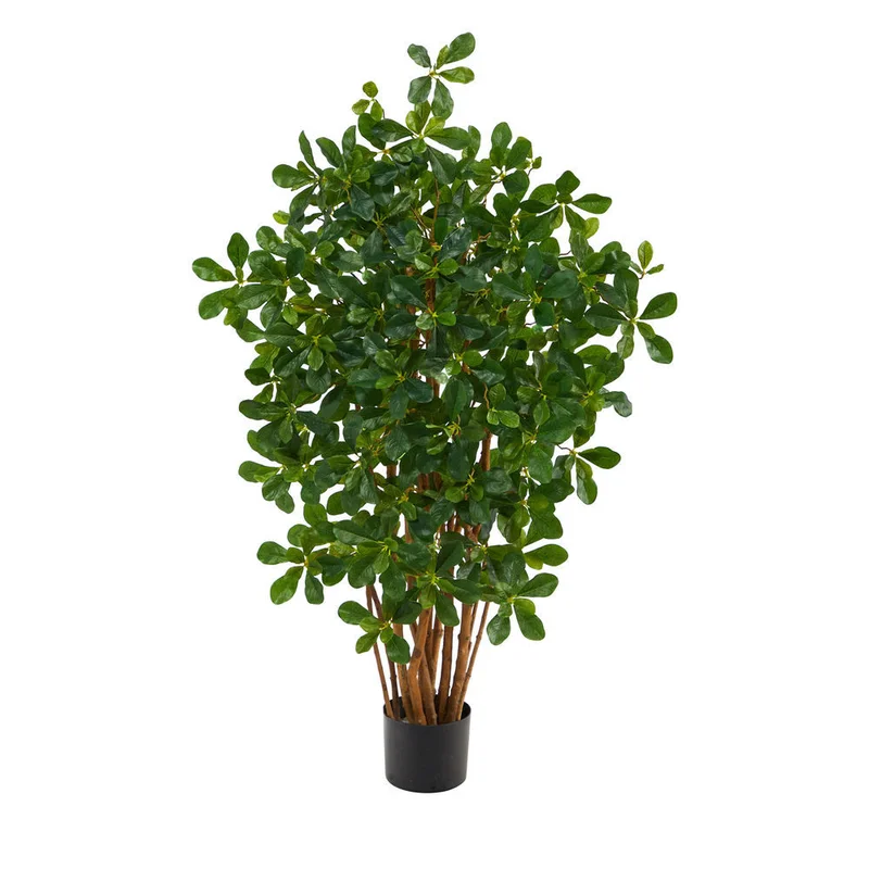 hubert3567019