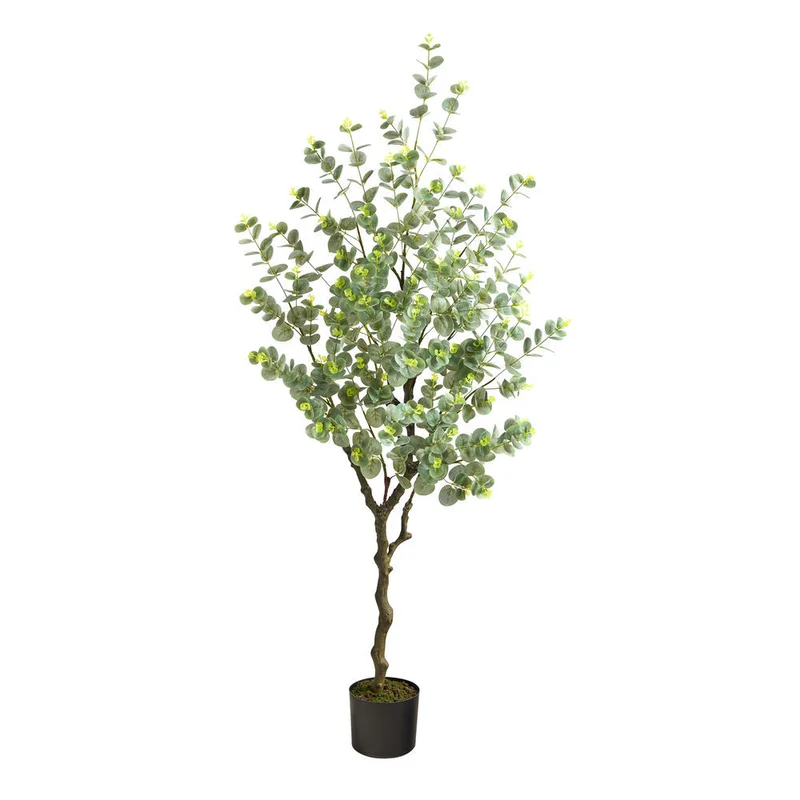 hubert3567530