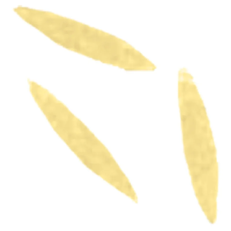 restaurantsupply-12308109